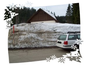 Feldberg09.jpg