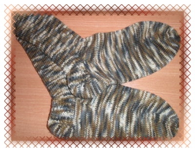 RegiaNordic5516.jpg
