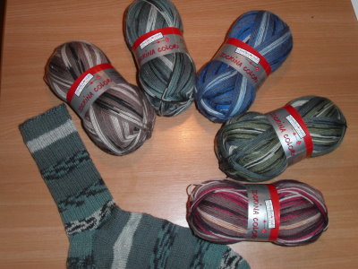 SockinaColorimitSockeklein.jpg