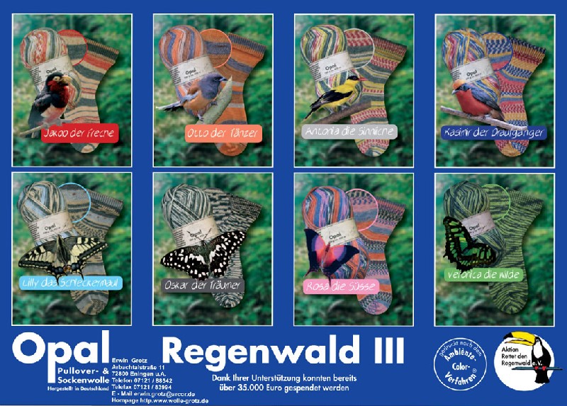 plakatRegenwald3.jpg