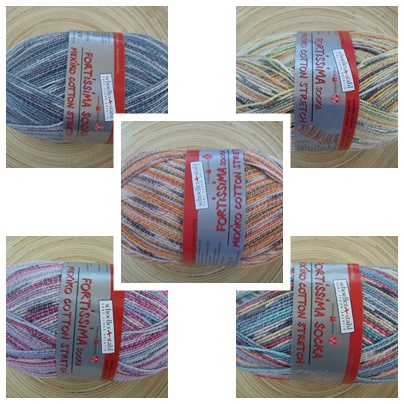 FortissimaStretch_2.jpg