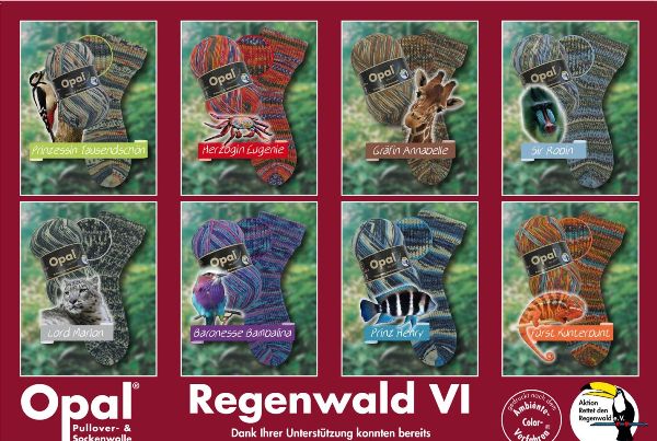 Regenwald6_klein.jpg