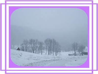 Titisee1.jpg