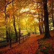 herbst11.jpg